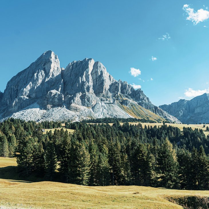 Al Plan: Urlaub am Kronplatz. Aufleben in den Dolomiten.